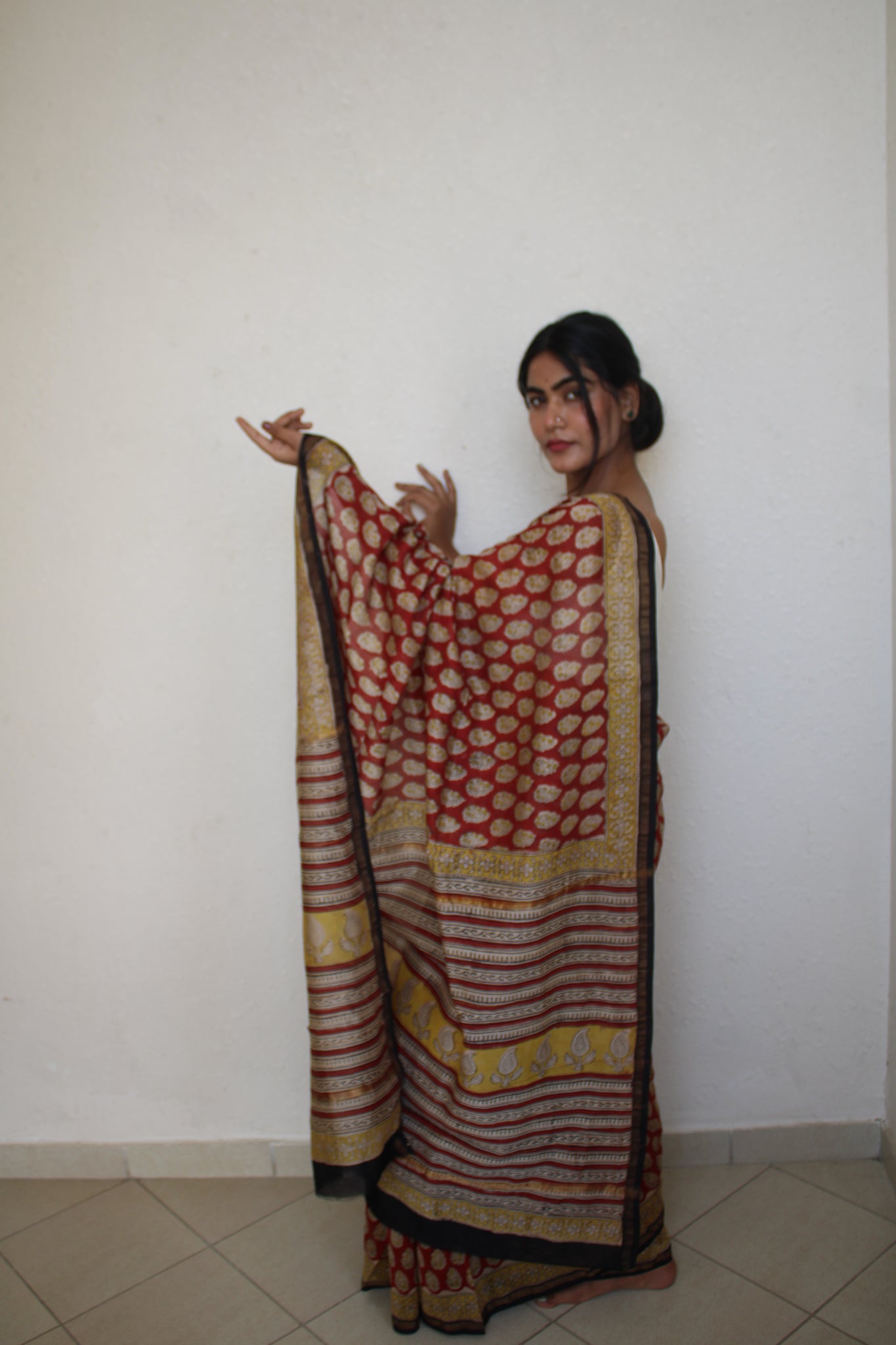 Roshni - Bagru Natural Dyes Handblock Printed - Chanderi Silk Saree